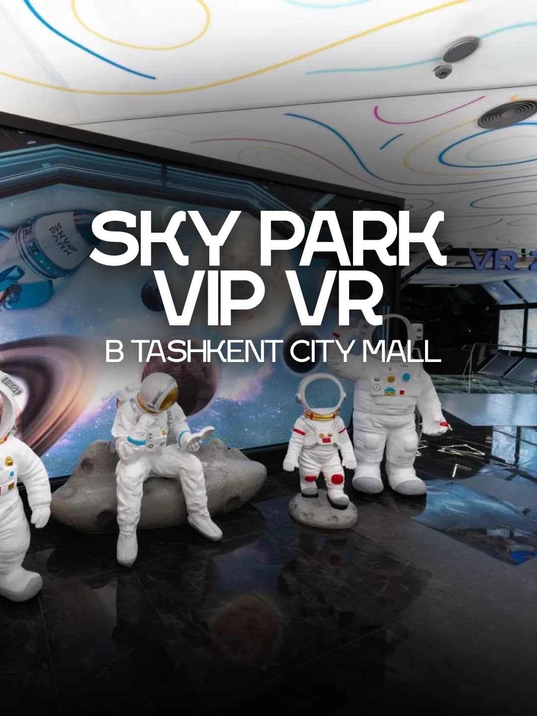 Sky Park VIP VR